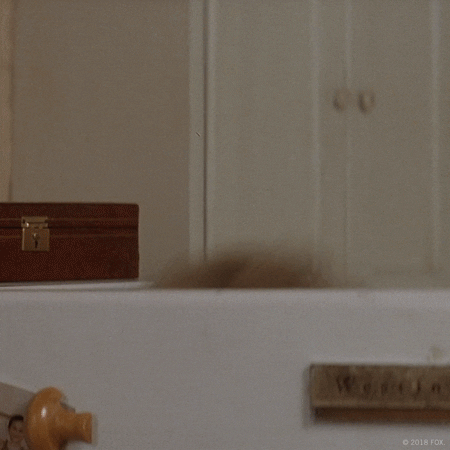 Scott Brown Profile GIF