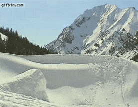 Sean Sweet Profile GIF